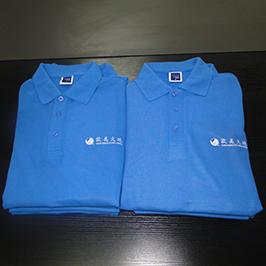 Polo shirt customized printing sample by A3 t-shirt printer WER-E2000T
